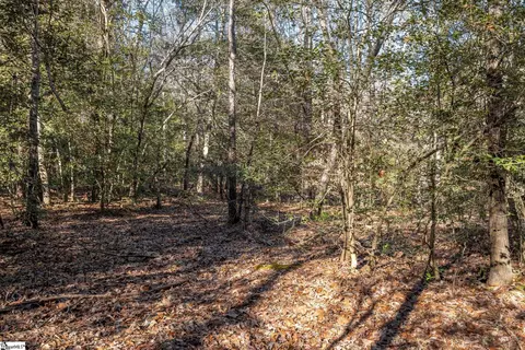 00 Mattie Campbell Rd, Honea Path, SC 29654 photo 8
