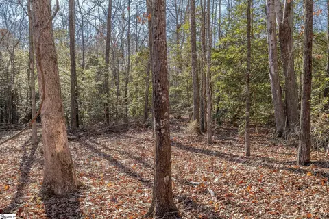 00 Mattie Campbell Rd, Honea Path, SC 29654 photo 7