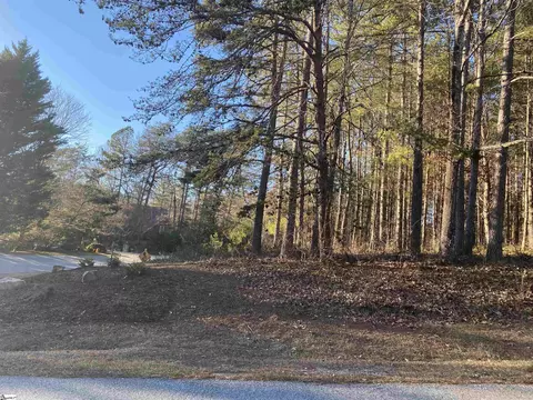 Vp51 Princess Tree Way, Sunset, SC 29685