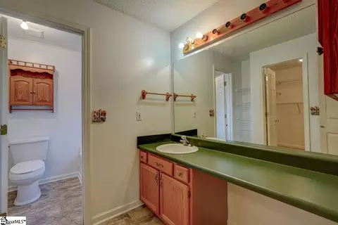 4 Setinel Ct, Greer, SC 29650 photo 28