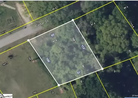 225 Cedar St, Woodruff, SC 29388