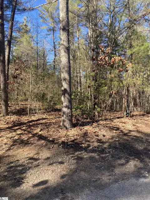 105 Chicory Ln, Sunset, SC 29685 photo 4