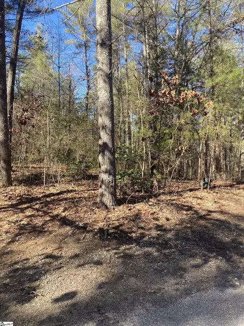 105 Chicory Ln, Sunset, SC 29685 photo 5