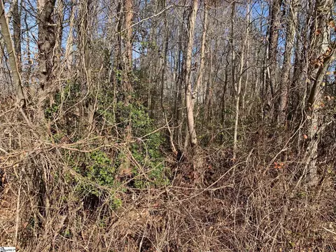 118 Marion St, Piedmont, SC 29673