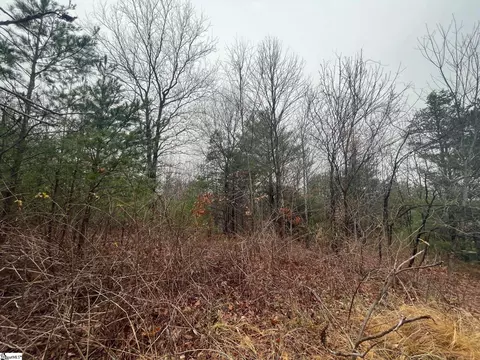 119 Roundtop Ln, Landrum, SC 29356