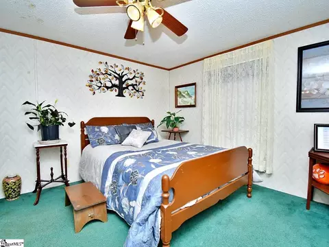 163 Randall Dr, Clinton, SC 29325 photo 13