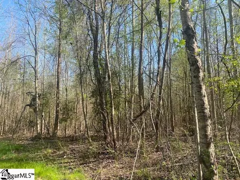 00 E Jerry Rd, Laurens, SC 29360 photo 6