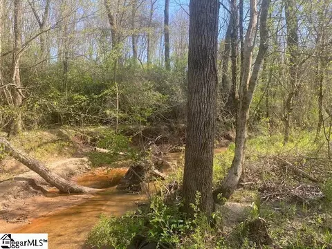00 E Jerry Rd, Laurens, SC 29360 photo 14