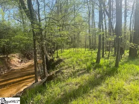 00 E Jerry Rd, Laurens, SC 29360 photo 11