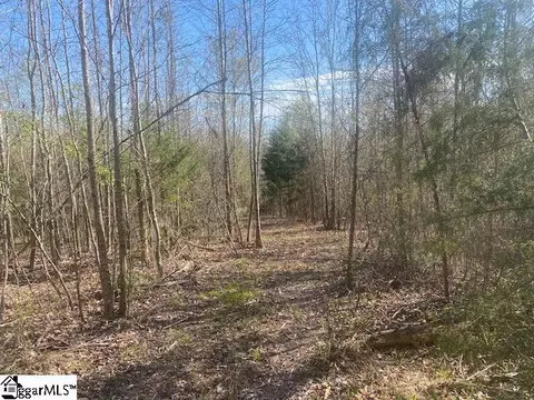 00 E Jerry Rd, Laurens, SC 29360 photo 7