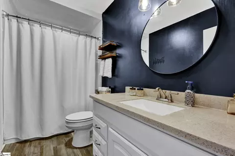 Bath - 104 Hillside Dr, Greer, SC 29651 photo 3 of 3