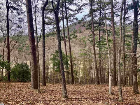 augusta links trail LOT 45, Travelers Rest, SC 29690