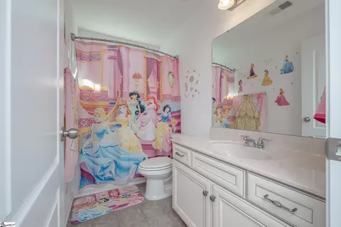 Bath - 319 Skye Rd, Easley, SC 29642 photo 5 of 5