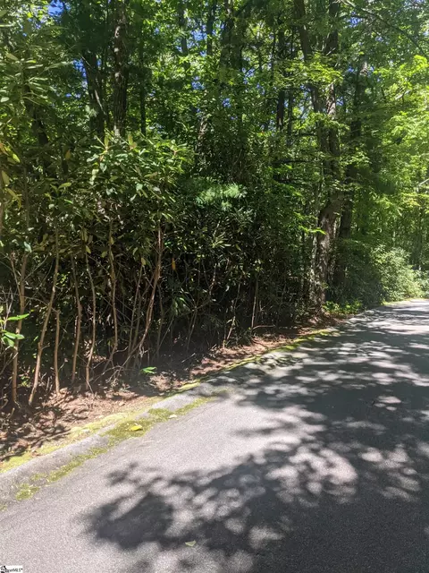 111 Rhododendron, Cleveland, SC 29635