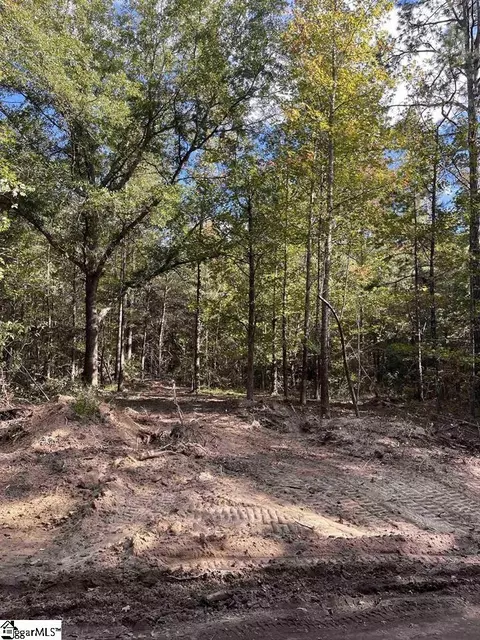 0 Dowler Dr, Inman, SC 29349 photo 2