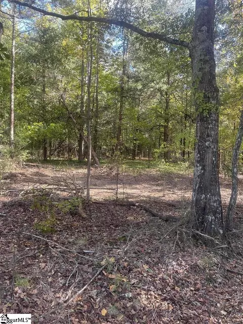 0 Dowler Dr, Inman, SC 29349