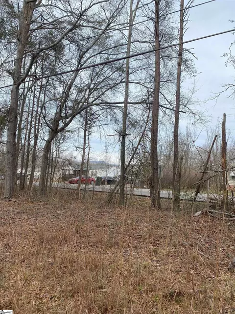 1675 S Mcelhaney Rd, Greer, SC 29651 photo 3