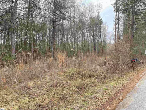 1675 S Mcelhaney Rd, Greer, SC 29651 photo 2