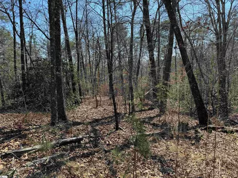 0 Old Shallowford Bridge Rd #LOT 20, Sunset, SC 29685