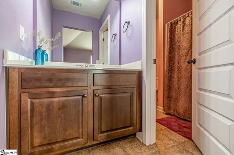 Bath - 165 Harbrooke Cir, Greer, SC 29651 photo 5 of 6