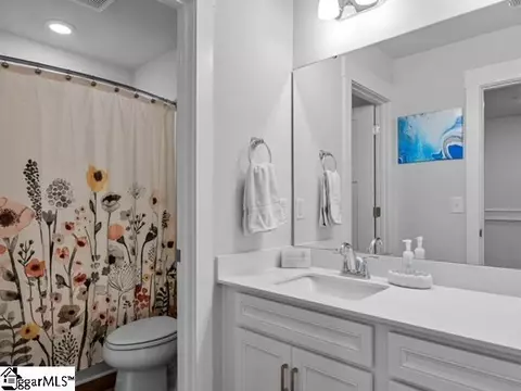 Bath - 905 Wild Pine Ct, Duncan, SC 29334 photo 4 of 4