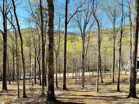 2 Buck Creek Trl, Travelers Rest, SC 29690