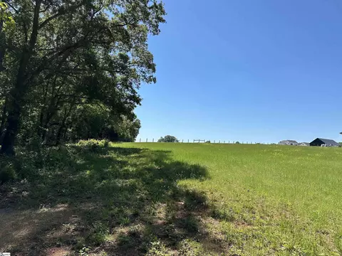 0 Jolly Wingo Rd, Pendleton, SC 29670 photo 4