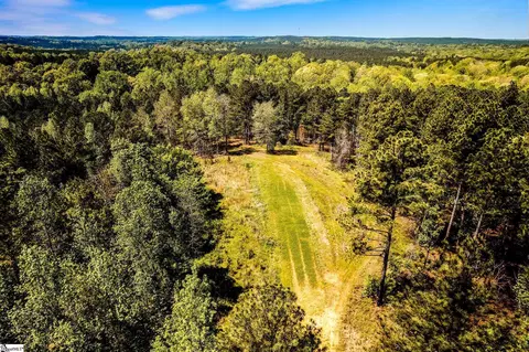 View/Area - 1249 Riley Rd, Buffalo, SC 29321 photo 7 of 8
