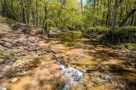 View/Area - 1249 Riley Rd, Buffalo, SC 29321 photo 5 of 8