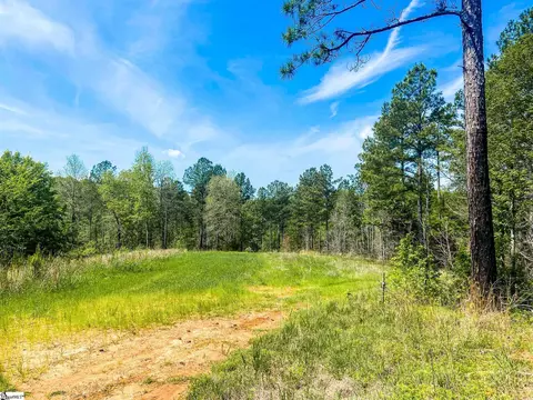 Exterior - 1249 Riley Rd, Buffalo, SC 29321 photo 11 of 12