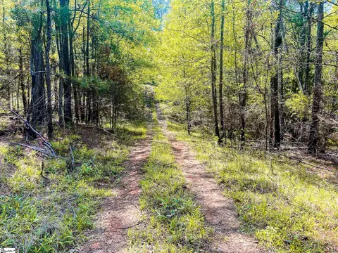 View/Area - 1249 Riley Rd, Buffalo, SC 29321 photo 6 of 8