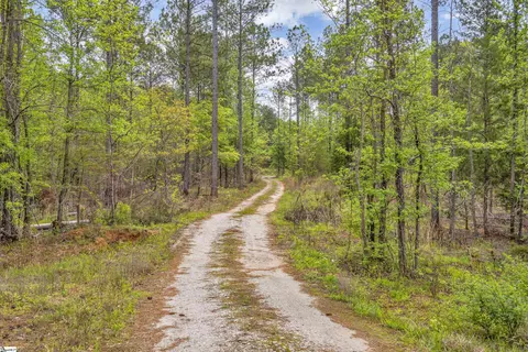 View/Area - 1249 Riley Rd, Buffalo, SC 29321 photo 3 of 8
