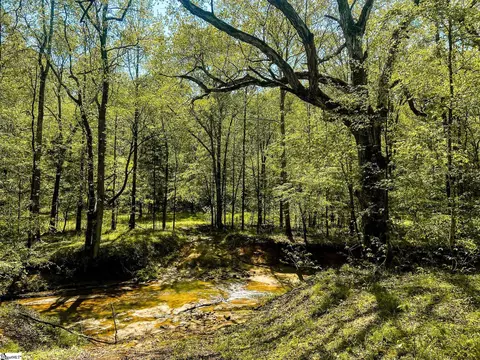 View/Area - 1249 Riley Rd, Buffalo, SC 29321 photo 4 of 8