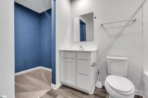 Bath - 246 Brooklane Ct, Easley, SC 29642 photo 2 of 3