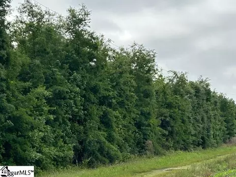 00 Bosmith Rd, Lamar, SC 29069