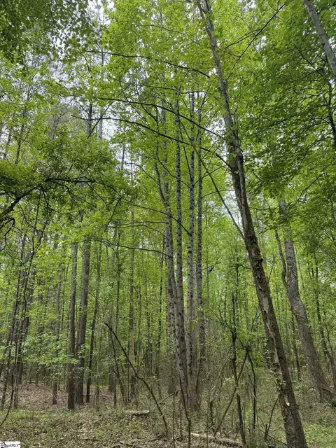 7 Griffin Mill Road, Pickens, SC 29671