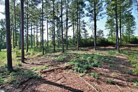 0 Little Keowee Blvd #LOT 2, West Union, SC 29696
