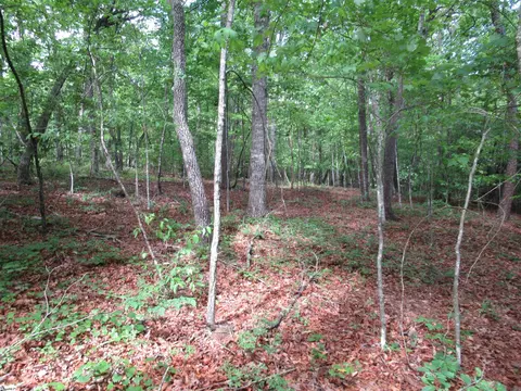 0 Raven Ct #LOT 35, Cleveland, SC 29635