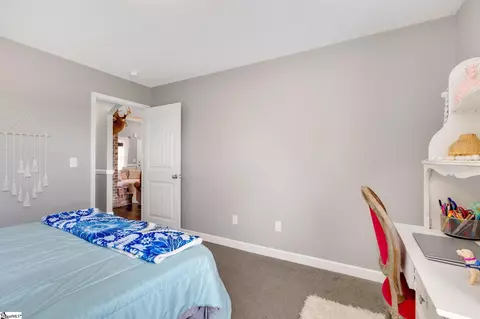 329 Mill Gin Rd, Campobello, SC 29322 photo 20