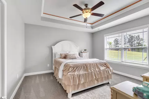 329 Mill Gin Rd, Campobello, SC 29322 photo 11