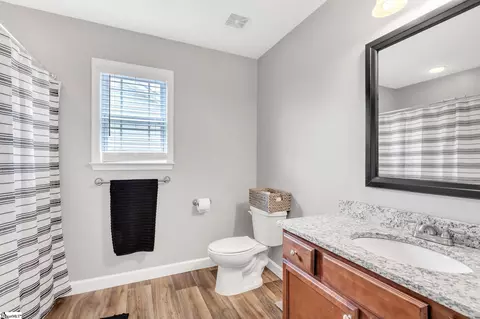 329 Mill Gin Rd, Campobello, SC 29322 photo 18