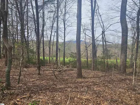 00 Arledge Rd #LOT 1, Landrum, SC 29322