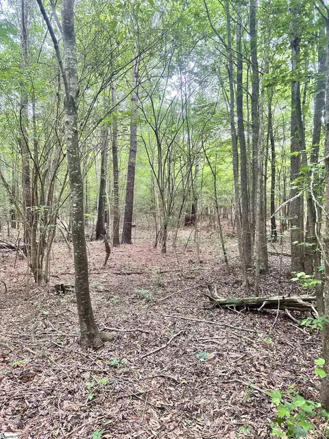 0 Prospector Dr, Edgefield, SC 29824 photo 8