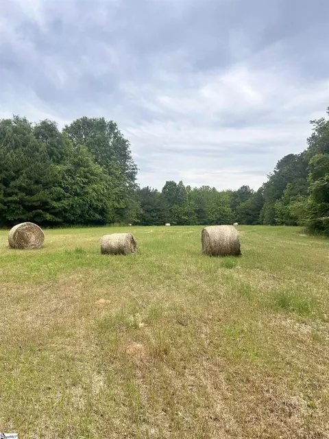 0 Prospector Dr, Edgefield, SC 29824 photo 2