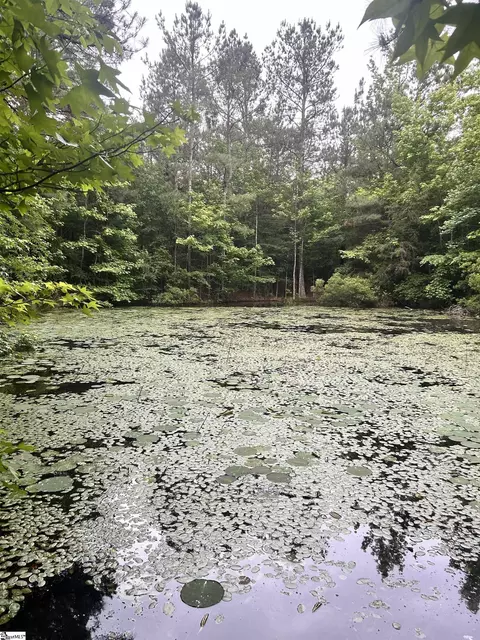 0 Prospector Dr, Edgefield, SC 29824 photo 9