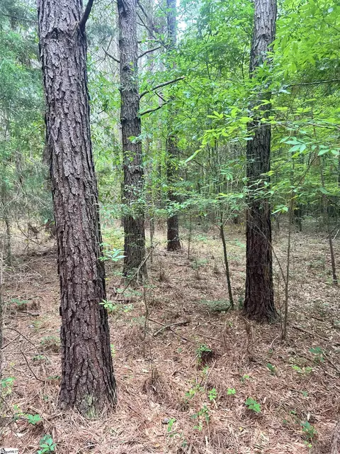 0 Prospector Dr, Edgefield, SC 29824 photo 5