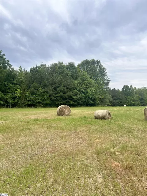 0 Prospector Dr, Edgefield, SC 29824 photo 3