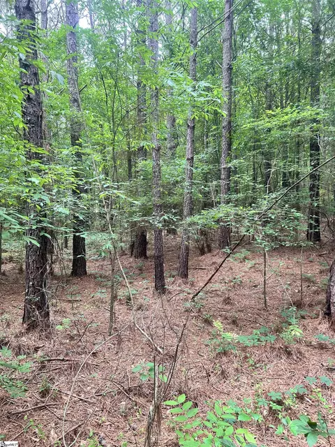 0 Prospector Dr, Edgefield, SC 29824 photo 4