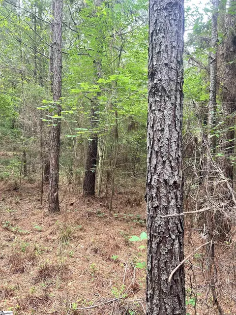 0 Prospector Dr, Edgefield, SC 29824 photo 7