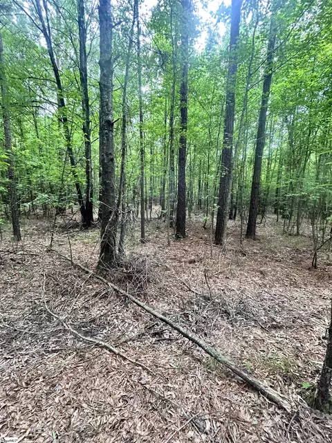 0 Prospector Dr, Edgefield, SC 29824 photo 12